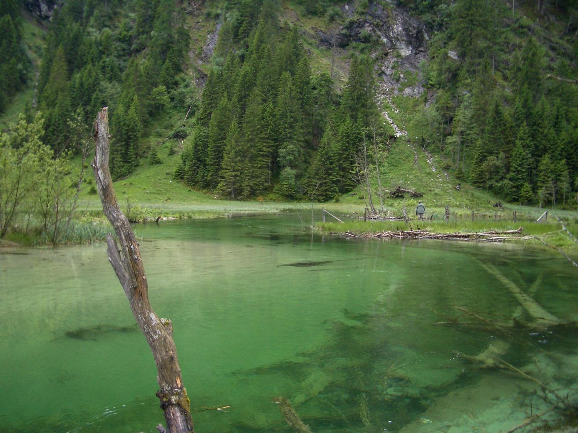 Landhotel Almroesl Im Grossarltal Hüttschlag Exterior foto